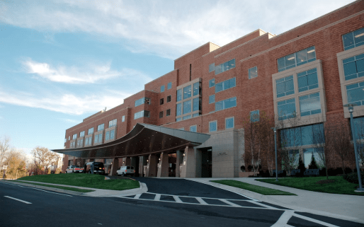 Treatment <br>and rehabilitation